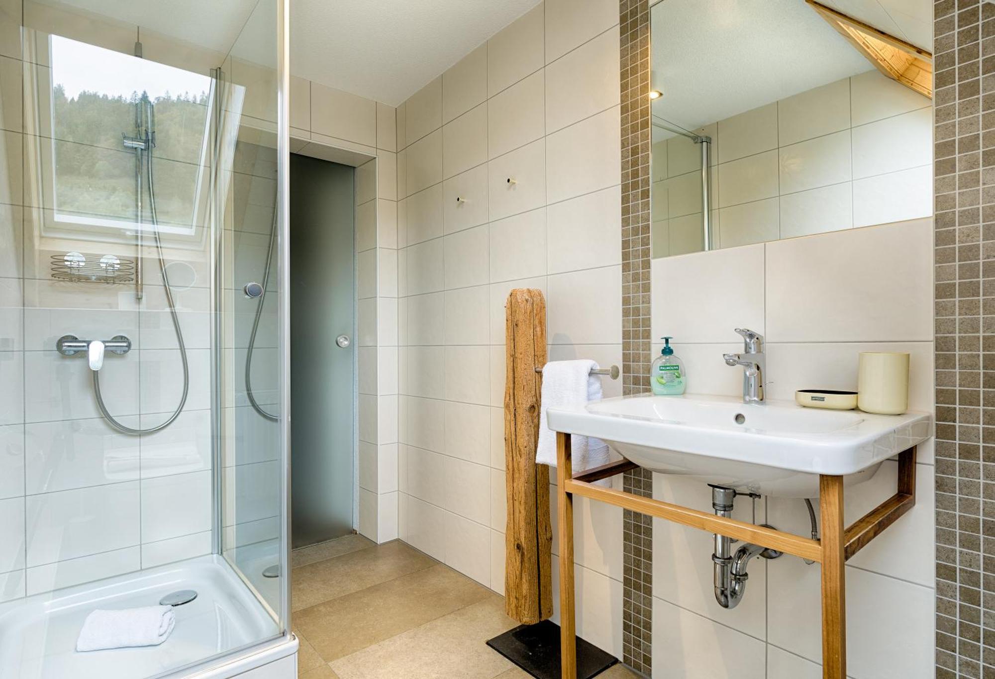 Apartment Albhof Am Wasserfall St. Blasien