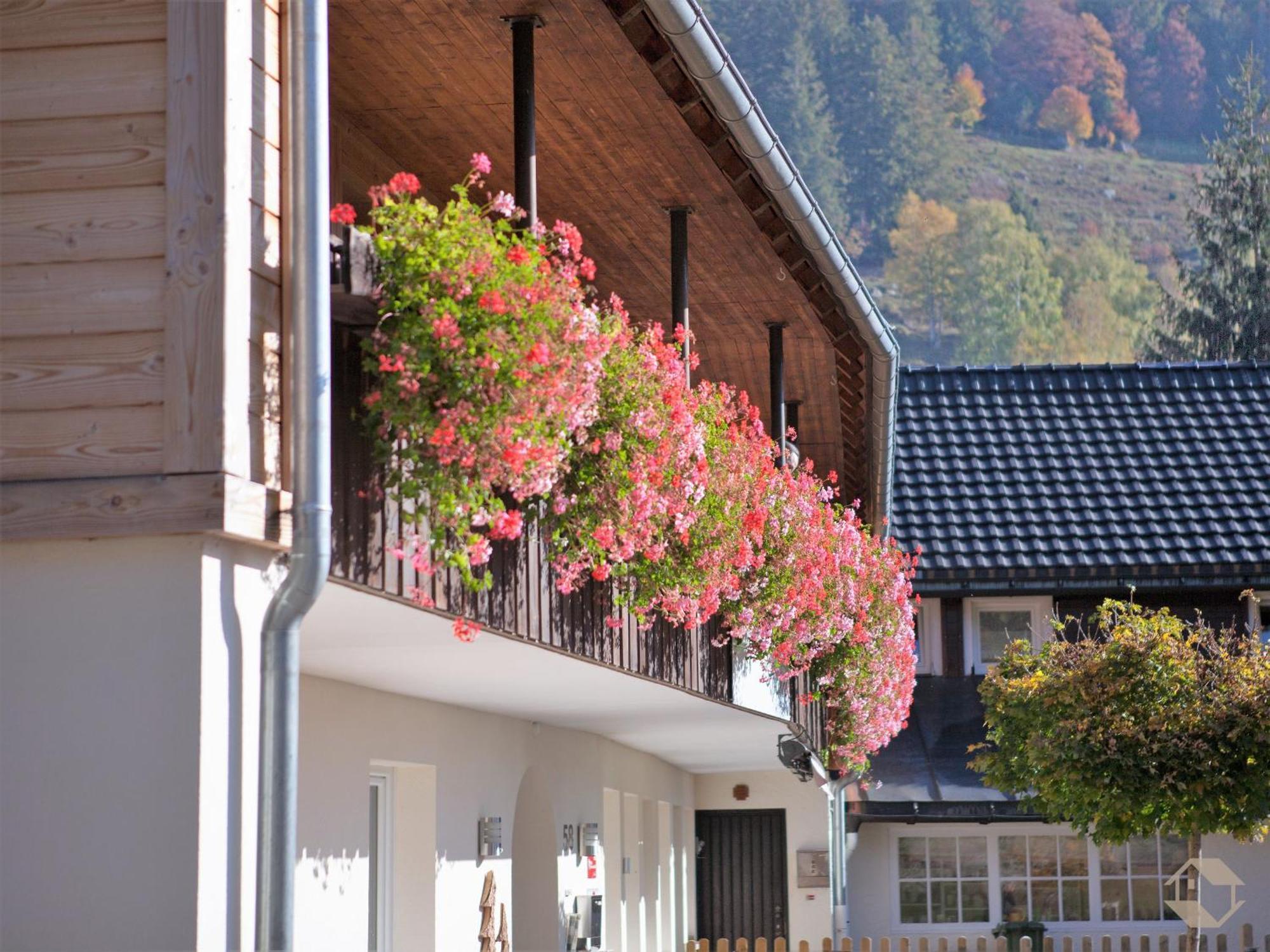 Albhof Am Wasserfall St. Blasien